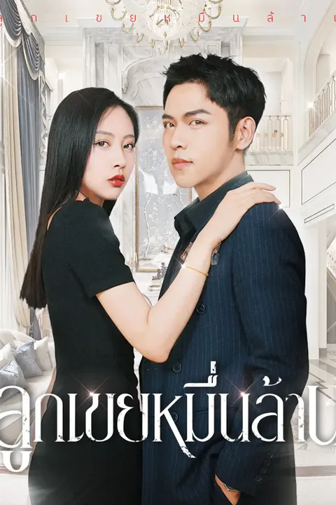 โปสเตอร์ ลูกเขยหมื่นล้าน