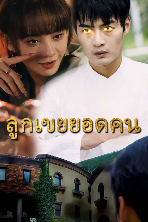 โปสเตอร์ ลูกเขยยอดคน