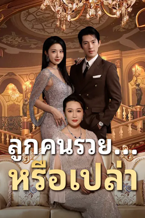โปสเตอร์ ลูกคนรวย...หรือเปล่า