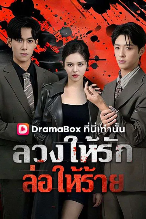 โปสเตอร์ ลวงให้รัก ล่อให้ร้าย