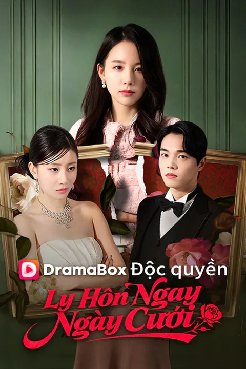Poster Ly Hôn Ngay Ngày Cưới