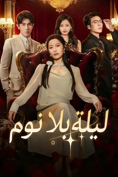ملصق ليلة بلا نوم