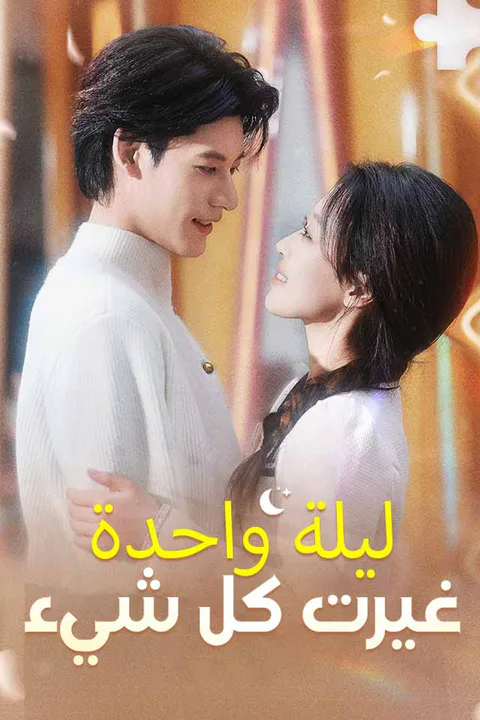 ملصق ليلة واحدة غيرت كل شيء