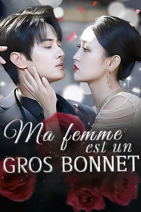 Affiche de Ma femme est un gros bonnet