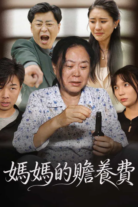 《媽媽的贍養費》海報