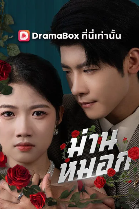 โปสเตอร์ ม่านหมอก