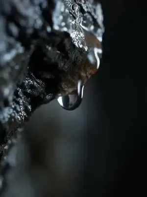 Madenci'nin Gizli Yeteneği afişi