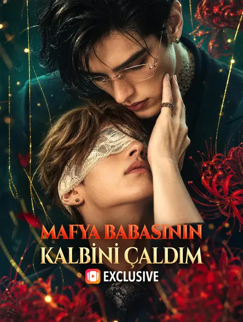 MAFYA BABASININ KALBİNİ ÇALDIM afişi