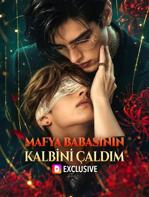 MAFYA BABASININ KALBİNİ ÇALDIM afişi