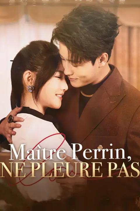 Affiche de Maître Perrin, ne pleure pas