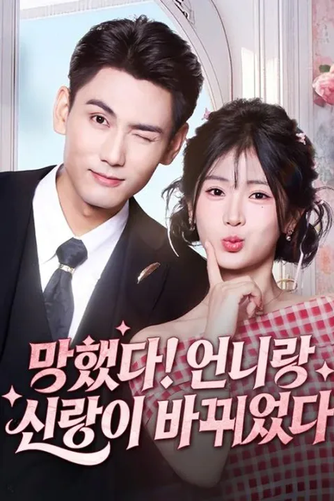 망했다! 언니랑 신랑이 바뀌었다 포스터