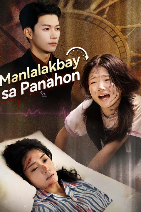 Poster ng Manlalakbay sa Panahon