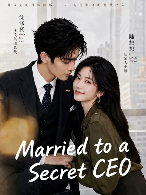 Married to a Secret CEO poster