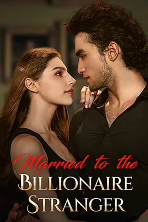 Married to the Billionaire Stranger poster