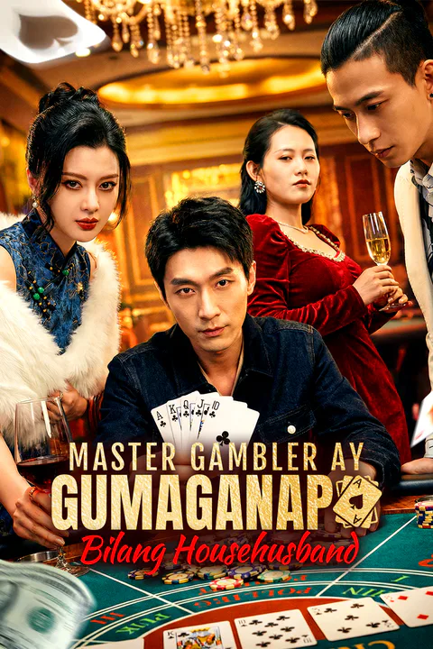 Poster ng Master Gambler ay Gumaganap Bilang Househusband