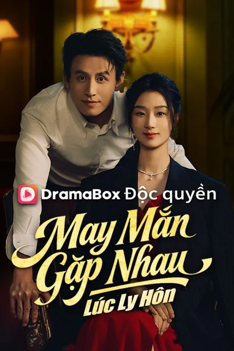 Poster May Mắn Gặp Nhau Lúc Ly Hôn