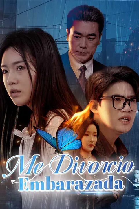 Póster de Me Divorcio Embarazada
