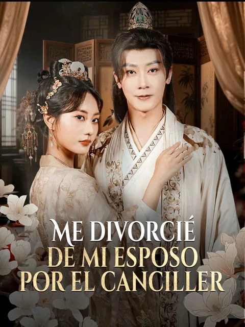 Póster de Me divorcié de mi esposo por el canciller