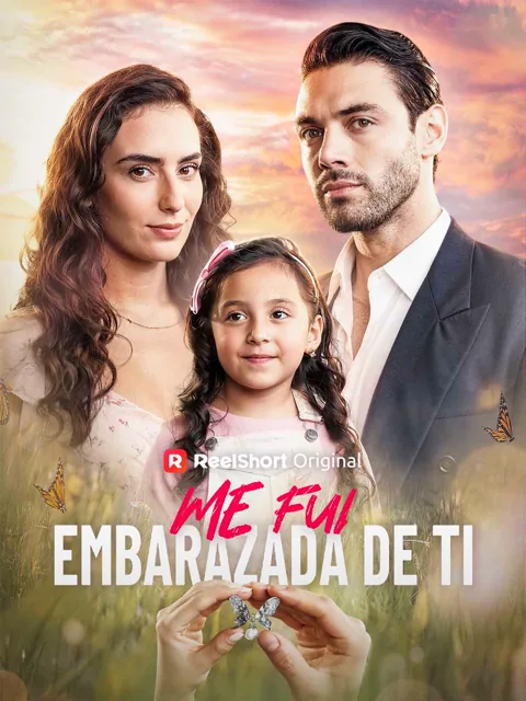 Póster de Me fui embarazada de ti