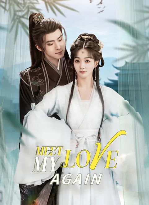 Meet My Love Again poster