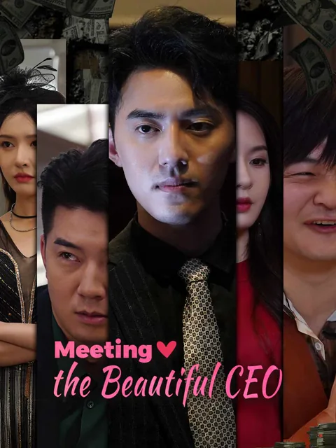 Meeting the Beautiful CEO poster