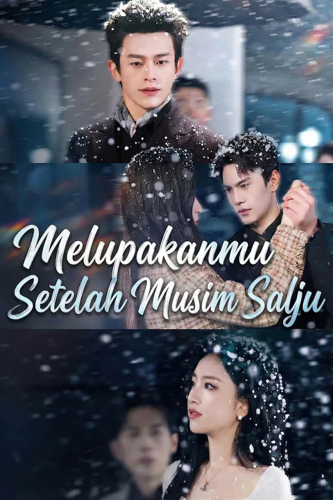 Poster Melupakanmu Setelah Musim Salju