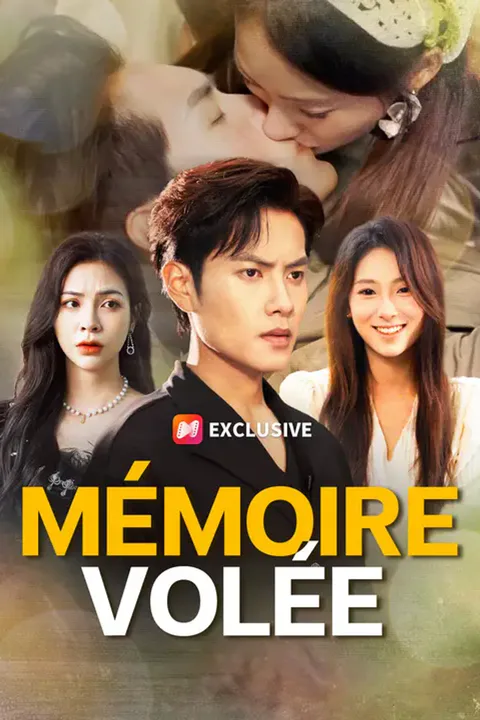 Affiche de Mémoire volée