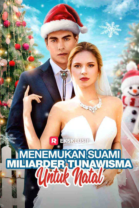 Poster Menemukan Suami Miliarder Tunawisma untuk Natal