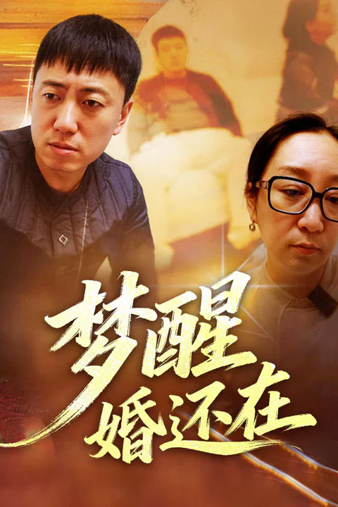 《梦醒婚还在》海报