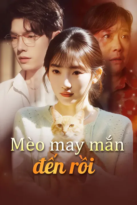 Poster Mèo may mắn đến rồi