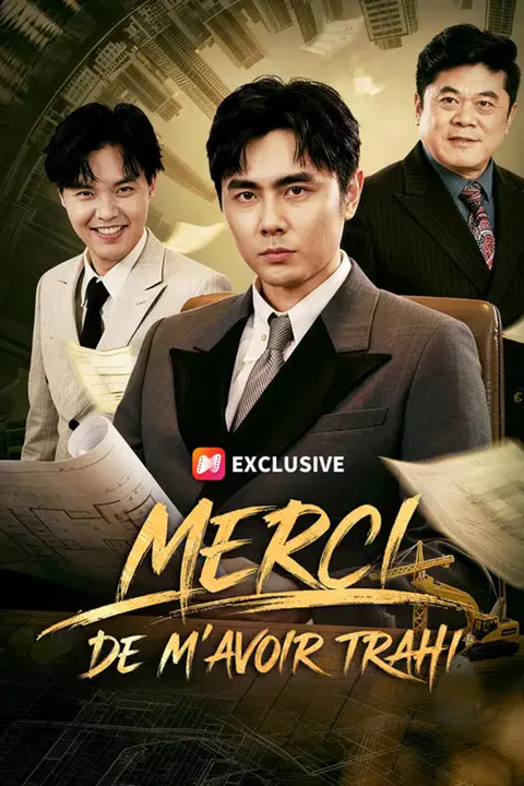 Affiche de Merci de m'avoir trahi