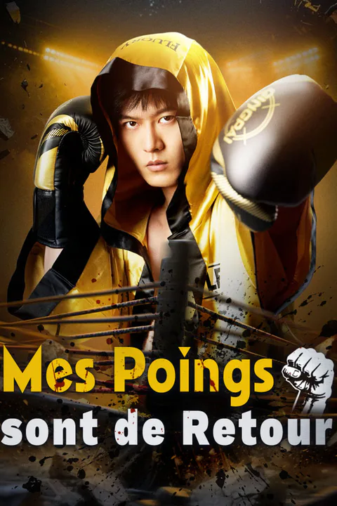 Affiche de Mes Poings sont de Retour