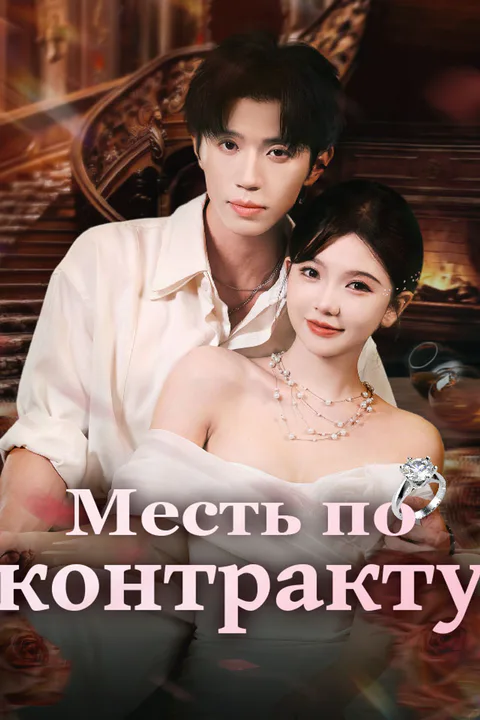 Постер «Месть по контракту»