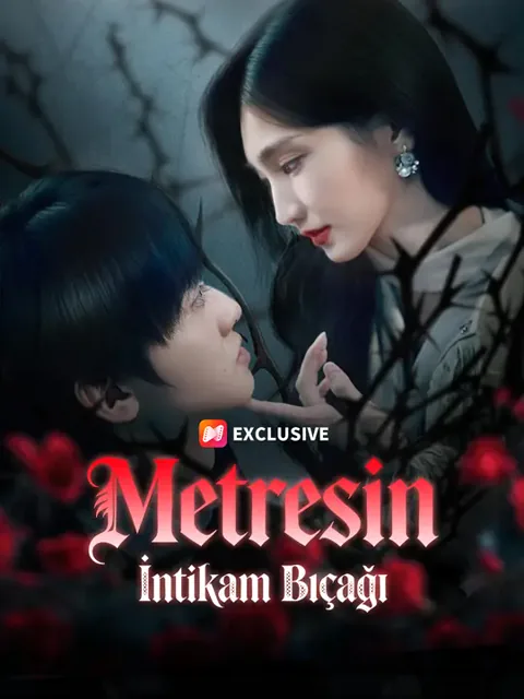 Metresin İntikam Bıçağı afişi