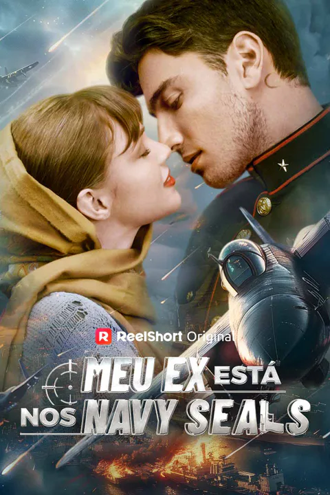 Pôster de Meu Ex Está nos Navy SEALs