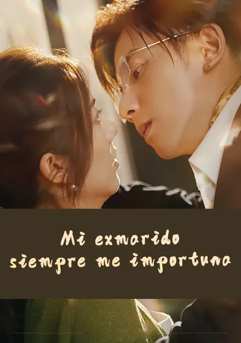 Póster de Mi exmarido siempre me importuna