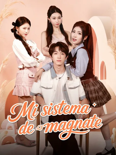 Póster de Mi sistema de magnate