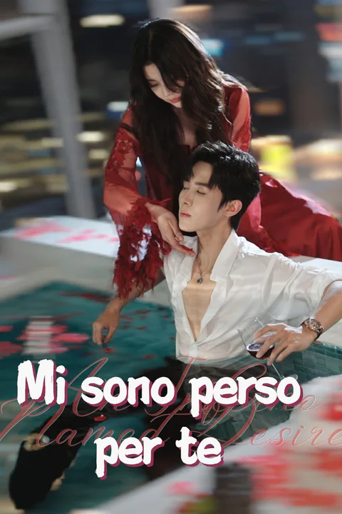 Locandina di Mi sono perso per te