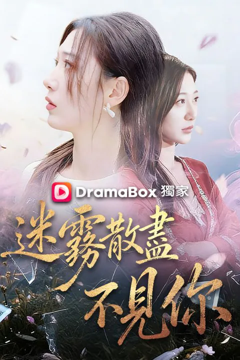 《迷霧散盡不見你》海報