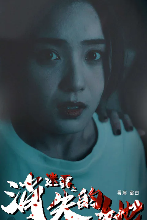 《迷霧之消失的她》海報