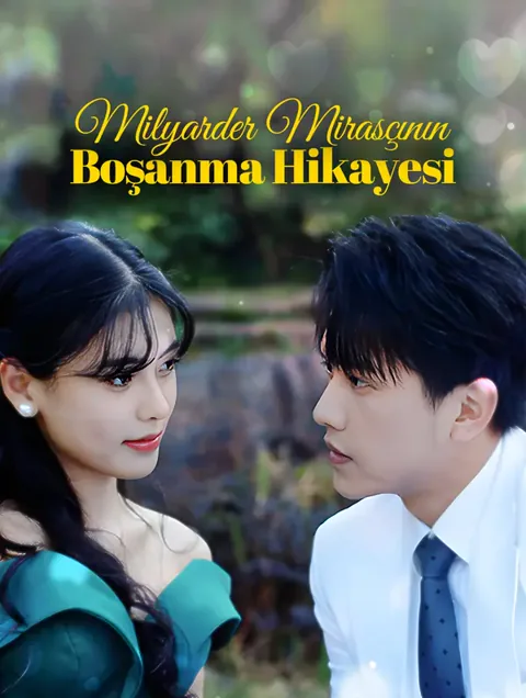 Milyarder Mirasçının Boşanma Hikayesi afişi