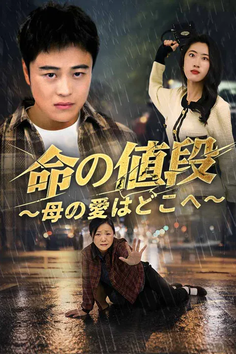 命の値段～母の愛はどこへ～のポスター
