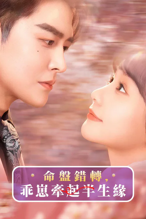 《命盤錯轉，乖崽牽起半生緣》海報