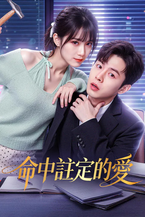 《命中註定的愛》海報
