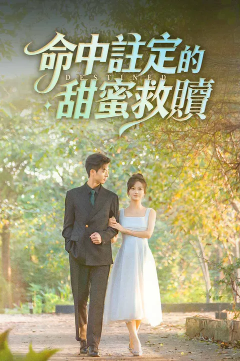 《命中註定的甜蜜救贖》海報