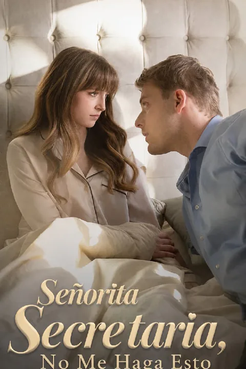 Miss Secretary Don’t Do This To Me poster