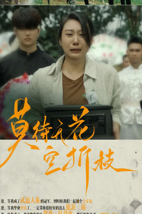 《莫待无花空折枝》海报