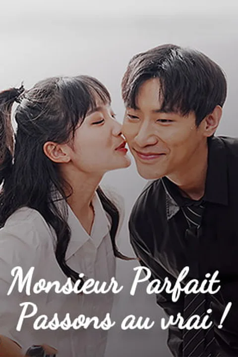 Affiche de Monsieur Parfait : Passons au vrai !