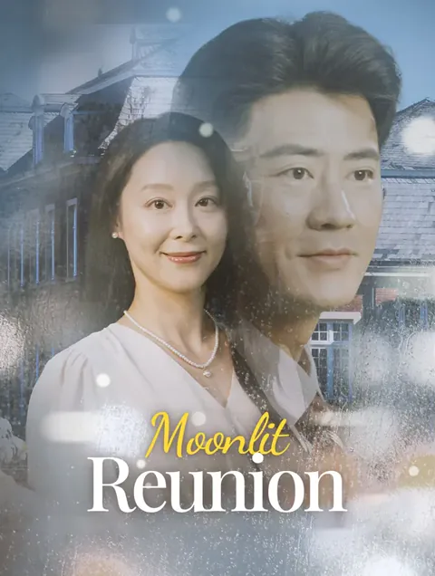 Moonlit Reunion(Dubbed) poster