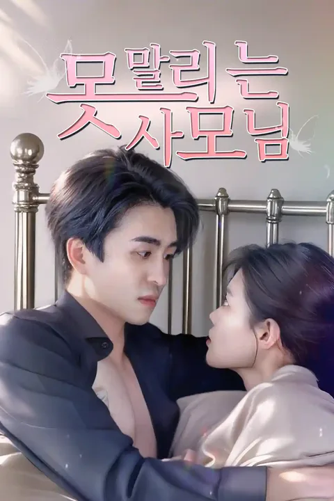 못 말리는 사모님 포스터